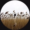 PREMIERE: Stojche - The Exchange [Jaunt]