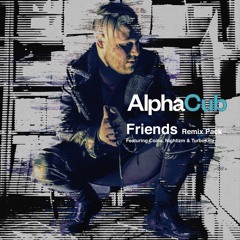AlphaCub - Friends (Coins RMX)