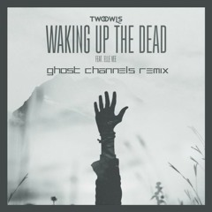 TWO OWLS - Waking Up The Dead (Ghost Channels Remix)