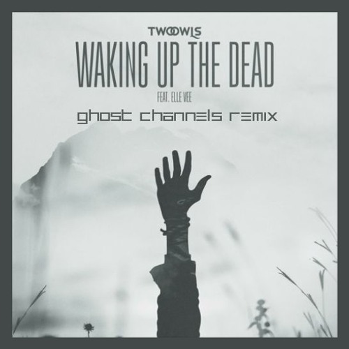 TWO OWLS - Waking Up The Dead (Ghost Channels Remix)