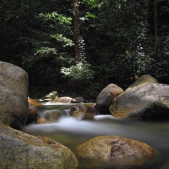 Recognising the Unsettled Mind