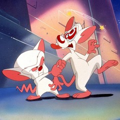 Pinky &  Cerebro