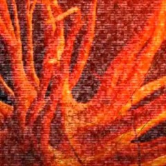 My Wildfire Project is Lost