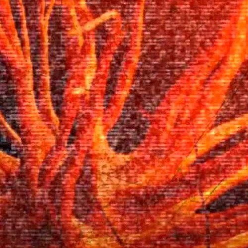 My Wildfire Project is Lost