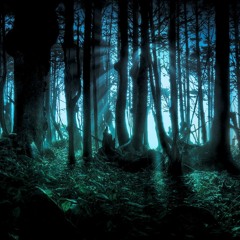 Untill You've Seen the Trees Dance Edit (Snippet)