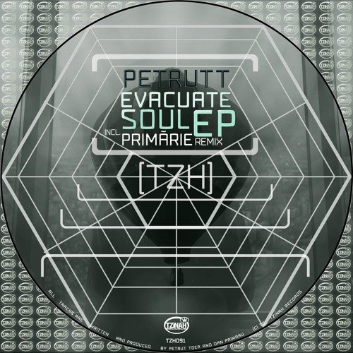 Petrutt - Varianta (Primarie Remix) Preview
