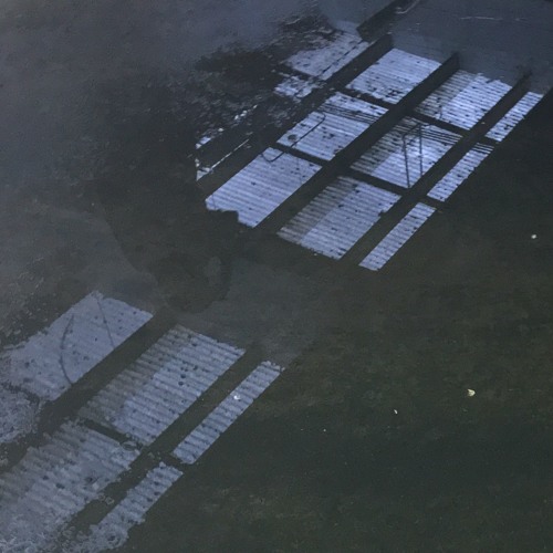 é o l e  c r i s t a l - Moly