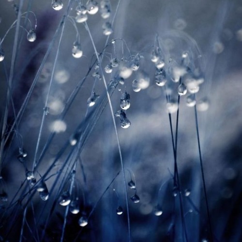 shiver
