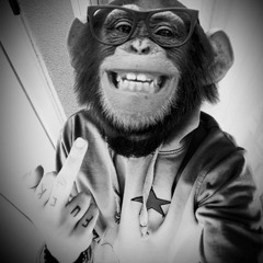 Somos vividor - shaloman ft pelao