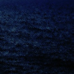 Dark Water