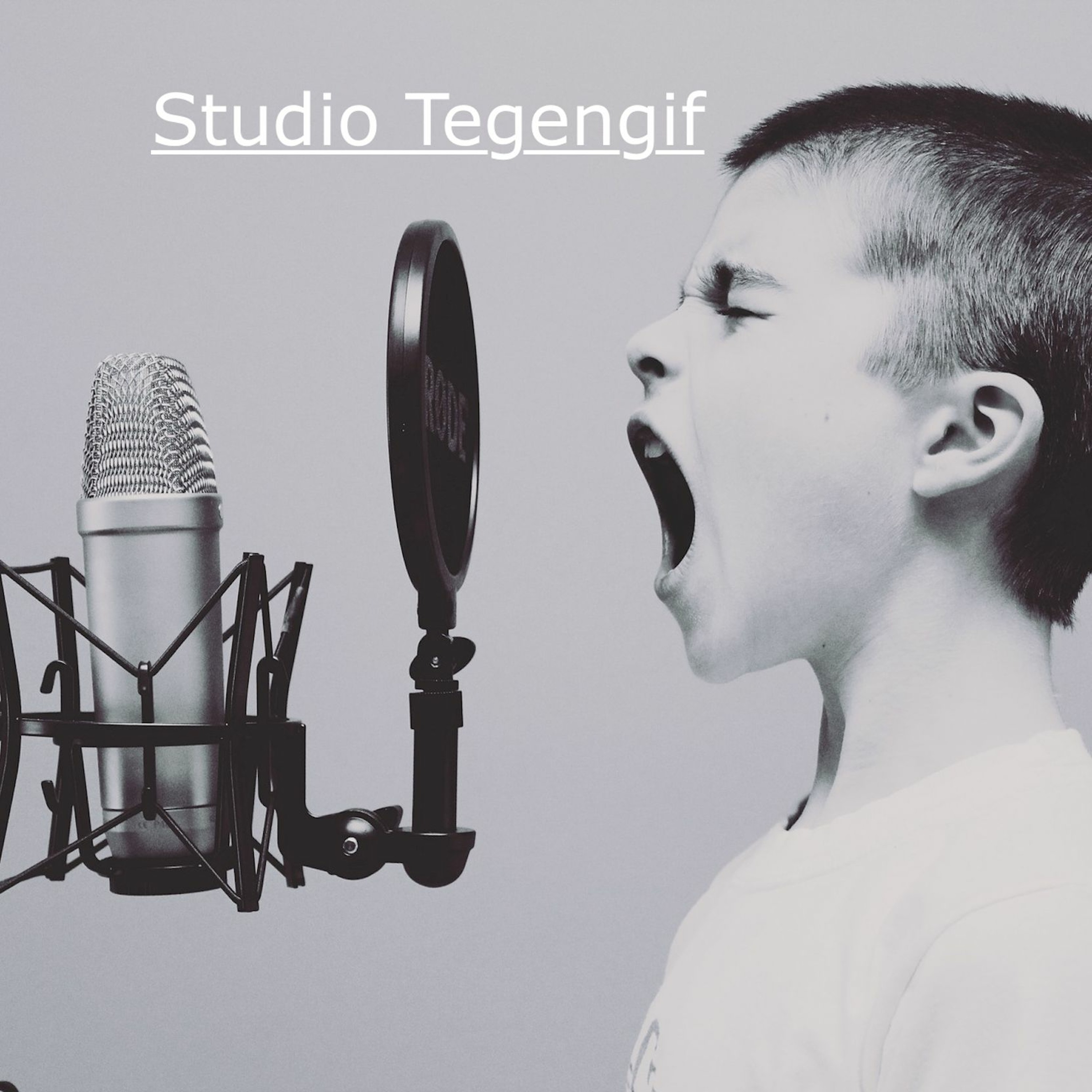 Studio Tegengif