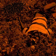 Faecal Matter Injection - Reanimated Corpse Dump [FULL EP]