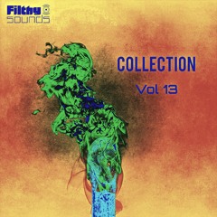 Collection vol 13