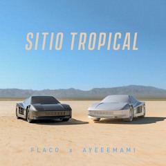 HTS Mix #18: FLACO x ayeeemami (SITIO TROPICAL)