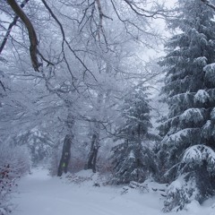 🌨️repose🌨️