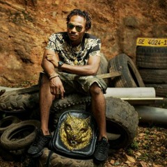 Lisa - Bwoy - Ft - Kamelyeon- Dem - Nuh - Bad - Mixed - By - Shinny - Beatz