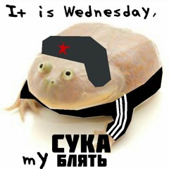It is wednesday my dudes SLAV REMIX