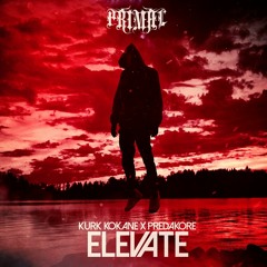 KURKKOKANE X PREDAKORE - ELEVATE [Buy = Free DL]
