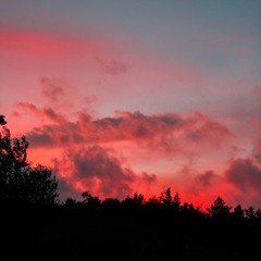 Cardiac Arrest -Bad Suns Cover (Jackie Benisch)