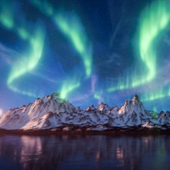 A Dreamer, A Traveler