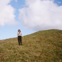 Walk On The Wild Side // cover