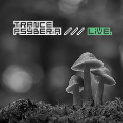 Trance Psyberia /// LIVE @ PsyTribe 20 Year Anniversary Festival, 10.28.2017.