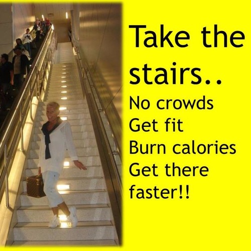 MAXBITES: Exercise: Common sense & logic