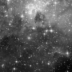 Bicameral Mind (Instrumental | Unmastered)