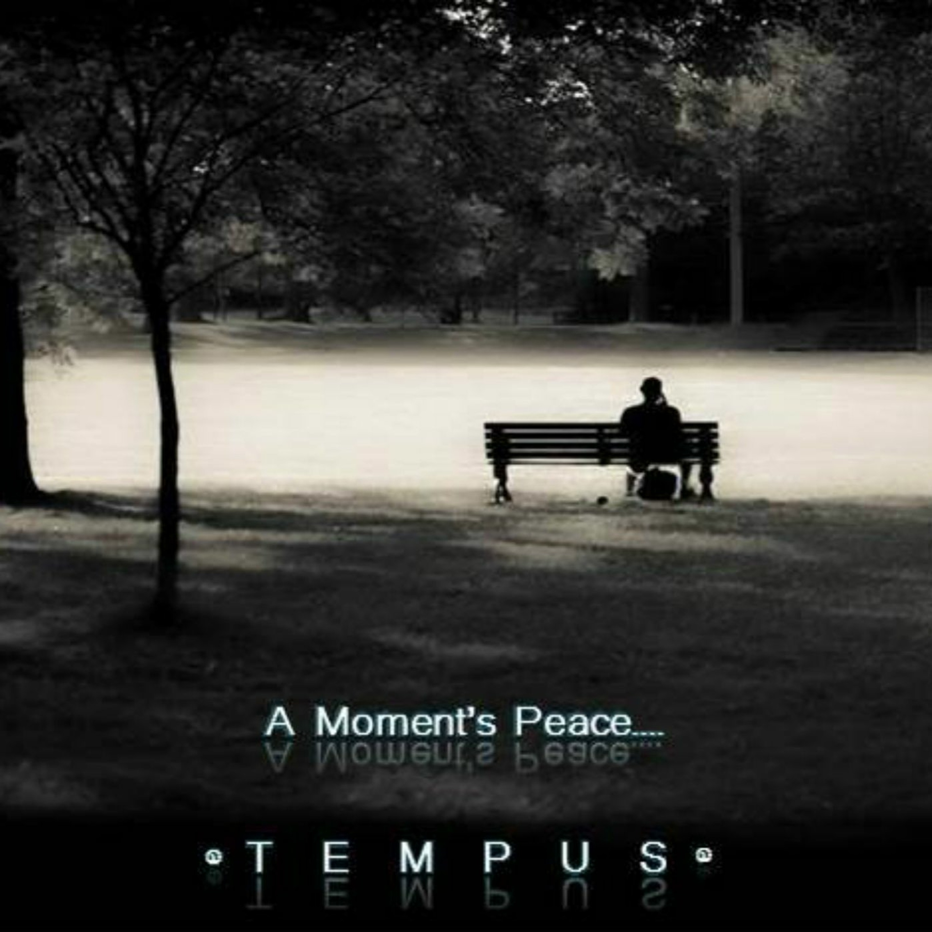 The Tempus Collective - "A Moment's Peace" episode artwork