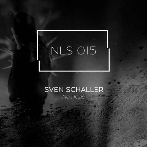 Premiere : Sven Schaller - No Hope
