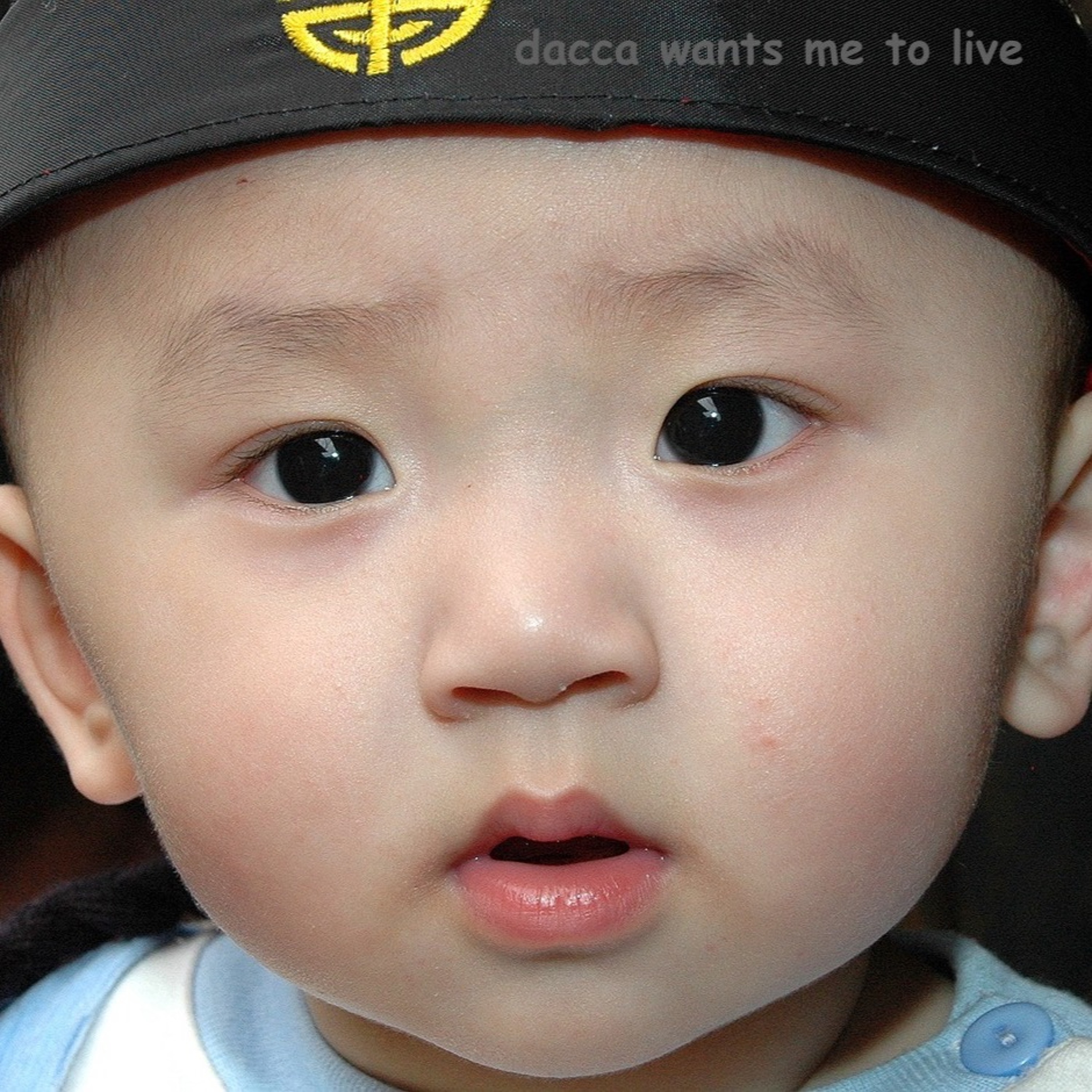 dacca