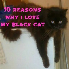 Ten Reasons Why I Love My Black Cat ~ TEASER