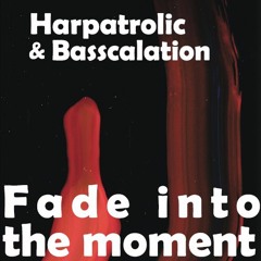 iWip & Basscalation - Fade In To The Moment