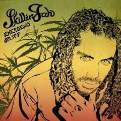 SkillinJah Ft. Josh Heinrichs Central Booking