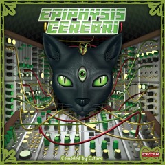 Psyence Of The Apes & Zzbing - Beltch Blast