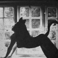 CATURDAY 003 | MATTINA | Courtney Scott