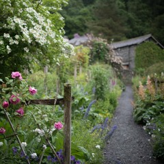 ここにしか咲かない花(コブクロ Cover : Kobukuro)