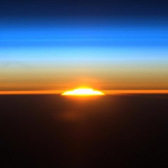 Dawn Chorus (rough levels)