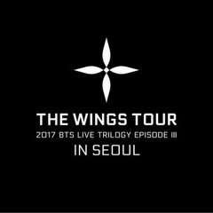 32.Outro Wings