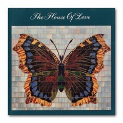 The House Of Love