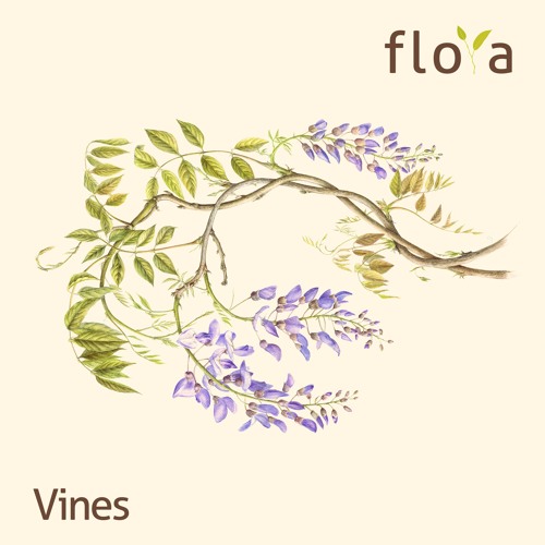 Premiere: Adam Husa - Busking [Fauna & Flora]