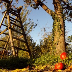 Deutscher Herbst