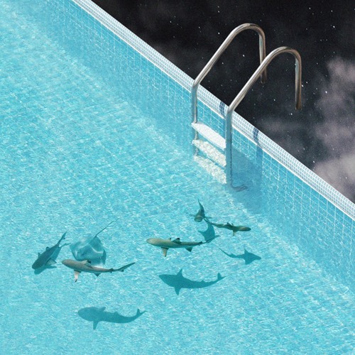 BLACKMUSIC(블랙뮤직) - FISH(feat.Sina)