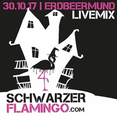 Jas Mine SchwarzerFlamingo 30.10.17@Erdbeermund