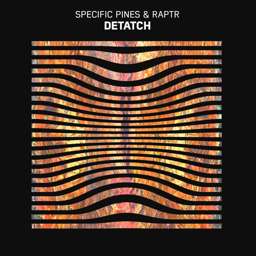 Specific Pines & RAPTR - Detatch