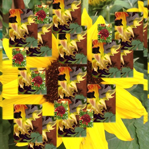 Slither by Mr. Andrew's Garden Free Listening on SoundCloud