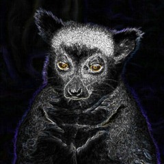 Gate 19 - Lunar Lemur