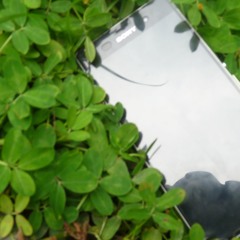 Em Hãy Nhắn Tin ( demo ) -  HuyLe ( Cover by Hip ft.Tylerst )