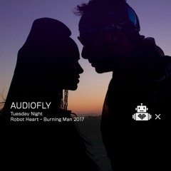 Audiofly - Robot Heart - Ten Year Anniversary - Burning - Man 2017