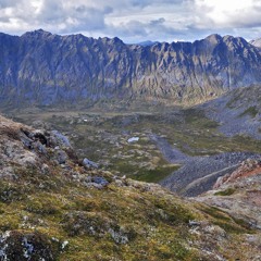 The Stone Harp Pt. 1 "The Stone Harp"